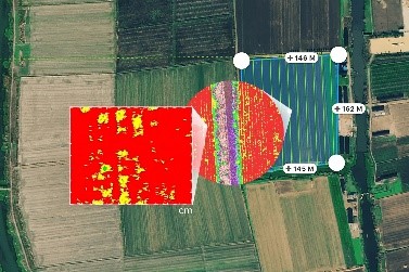 multispectral drone crop analysis by ARY Engineering